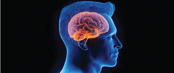 Brain Surgery Cost at Livasa Mohali - Affordable Neurosurgery Options